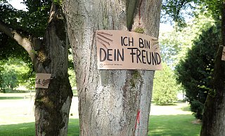 Das Trio möchte auch in Zukunft noch Sauerstoff und Schatten spenden. - Wolfgang Rudolf