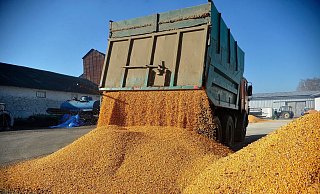 Agrarexporte der Ukraine haben für Unmut bei Bauern in der EU gesorgt. (Archivbild) - ---/Ukrinform/dpa
