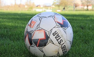 Der Bau eines Kunstrasenplatzes im Stadtgebiet hat für die WGB Priorität. - David Schellenberg