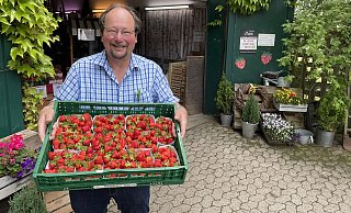 Obstbauer Karsten Otte präsentiert eine Kiste Erdbeeren, die erntefrisch im hofeigenen Laden und an den übrigen Stände im Kreis Herford verkauft werden. - Benedikt Riemer
