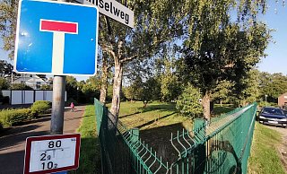 Zum Flachsland/Amselstraße: Dort wo heute noch Schafe grasen, soll ein Wohngebiet entstehen. - Susanne Barth