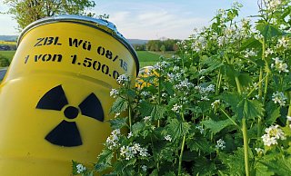 Dass Würgassen künftig zur Drehscheibe für Atommüll aus ganz Deutschland werden soll, erhitzt in der Region die Gemüter.  - Dirk Wilhelm