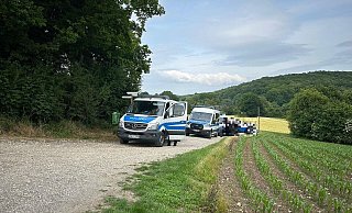 Am Freitagabend wurde in einem kleinen Waldstück in Halle im Kreis Gütersloh eine Leiche gefunden. Das Gebiet hatte eine Hundertschaft im Zuge der Suchmaßnahmen bereits in den Blick genommen (Archivbild). - Tobias Barrelmeyer