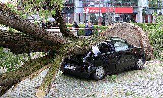 Dieses Auto ist mittig von einem Baum getroffen worden, der durch den Tornado umgeweht wurde. - Holger Kosbab