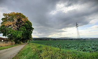 Direkt an der Tongrube Sommersell (l.) sollen neue Windräder entstehen. Im Hintergrund drehen sich die Anlagen zwischen Bredenborn und Holzhausen. - David Schellenberg
