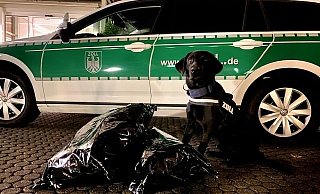 Elvis präsentiert seinen dicken Fang. - Hauptzollamt Bielefeld