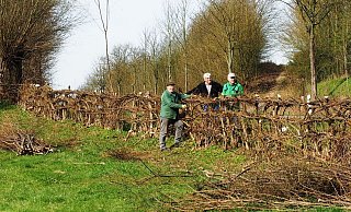 Natürliche Einfriedung: Die dichte Nieheimer Flechthecke erübrigt den Weidezaun und bietet sowohl den Nutz- als auch den Wildtieren zusätzliche Nahrung und natürlichen Schutz. - Josef Köhne