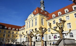 Trotz beschränkten Zugangsbedingungen wegen Corona wird das Rathaus am Wahlsonntag ab 18 Uhr geöffnet sein. - Stadt Herford