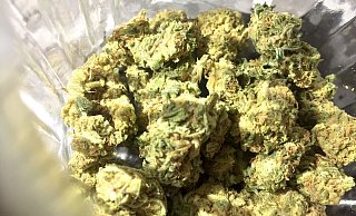 Ab dem 1. April soll es Volljährigen erlaubt sein, eine bestimmte Menge an Cannabis zu besitzen und selber anzubauen. - Lino Mirgeler/dpa