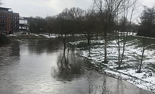 Die Werre hat in diesen Tagen den höchsten Wasserstand seit etwa einem Jahr. - Dirk Windmöller