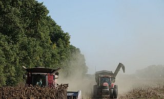 Ein Mähdrescher und ein Traktor der deutschen Agrarfirma UIFK Agro in der Ukraine bei der Sonnenblumenernte. - Friedemann Kohler/dpa