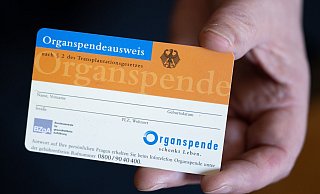 Im Ringen um mehr lebensrettende Organspenden kommt ein neuer Anlauf für Änderungen der Spenderegeln in Gang. - Hendrik Schmidt/dpa