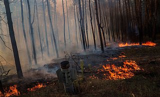 Waldbrände in der Ukraine, die viel Treibhausgase freisetzen, werden oft durch Gefechte ausgelöst. (Archivbild) - Evgeniy Maloletka/AP/dpa