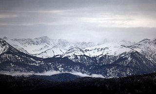 Weiß wird es an Weihnachten wohl nur in Alpennähe. - Karl-Josef Hildenbrand/dpa