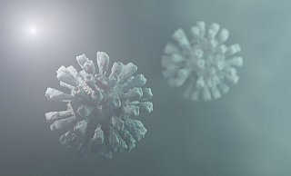 Der Inzidenzwert lag noch Ende Juni bei unter 1 und ist seitdem wieder deutlich gestiegen - nicht zuletzt wegen der Virus-Mutationsfälle. - Symbolbild Corona-Krise/Delta-Variante: Pixabay
