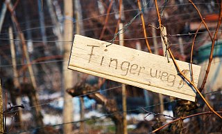 Am Hücker Moor machten sich Diebe an einem Zigarettenautomaten zu schaffen. - Pixabay