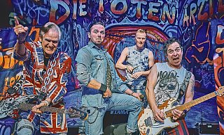 Die Toten Ärzte sind der Topact am Freitagabend. - Privat