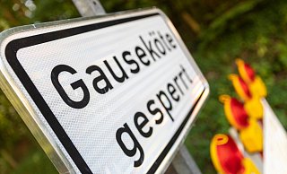 Seit dem 25. Januar 2019 ist die Gauseköte zwischen Detmold und Schlangen dicht. - Jannik Stodiek