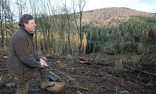 Förster Jürgen Rolfs schaut auf eine etwa fünf Hektar große Kahlfläche am Eggeweg im Wiehengebirge südwestlich des Lübbecker Krankenhauses. - Kirsten Tirre
