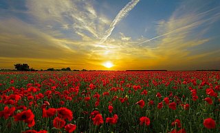 Die nächsten Tage soll es heiter bis sonnig werden in Nordrhein-Westfalen. (Symbolbild) - Pixabay