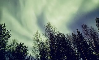 Polarlichter wirbeln über Rovaniemi, Finnland. Auch in Ostwestfalen-Lippe könnten sie bald zu sehen sein. - Georg Thiessen