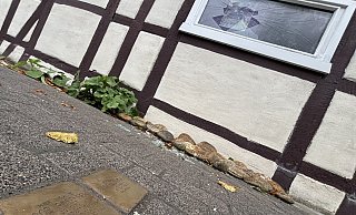 Das Haus der jüdischen Familie Rosenberg an der Paderborner Straße in Haaren wurde offenbar mutwillig attackiert. Vor dem Haus sind im Mai 2022 Stolpersteine verlegt worden. - Jens Reddeker