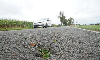 Die Strecke ist an manchen Stellen schadhaft. Am Rand bröckelt der Asphalt weg, mancherorts hat sich Grün seinen Weg durch die Fahrbahndecke gebahnt. - Joern Spreen-Ledebur