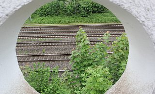 Für einen Ausbau der ICE-Trasse fordern Bahn-Planer bislang mehr Platz - auch in Löhne wo schon sehr viel Raum mit Gleisen belegt ist. Die SPD-OWL widerspricht. - Ulf Hanke