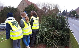 Der CJVM sammelt wieder die ausrangierten Weihnachtsbäume ein. - Archivfoto: CVJM