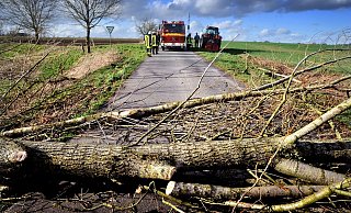 Der DWD warnt vor herabstürzenden Ästen, Dachziegeln oder anderen Gegenständen. - Symbolfoto: Andreas Frücht