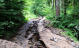 Ein nach dem starken Regen zerstörter Waldweg im Sauerland in der Region um die Stadt Olpe. - Wald und Holz NRW/dpa
