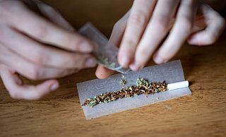 Die Ampel-Parteien wollen Cannabis für den Genuss legalisieren. - Foto: Fabian Sommer/dpa