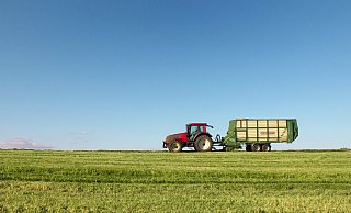 Allein auf weiter Flur fühlen sich viele Bauern und deren Familien. - Pixabay / Mathias Beckmann