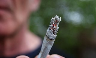 Das Cannabis-Gesetz der Ampel-Koalition kann wie vorgesehen am 1. April in Kraft treten. - Karl-Josef Hildenbrand/dpa