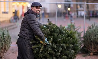 Schirmmütze, Zwirbelbart und getönte Brille - so steht Jens Klawitter jedes Jahr zur Adventszeit auf dem Siegfriedplatz und verkauft weibliche Fichten, die gut riechen und Nordmänner, die im Alter attraktiver werden. - Oliver Krato
