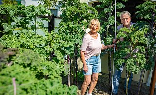 Das Bielefelder Ehepaar Hülsmann im Palmenwald aus Grünkohl. - Mike-Dennis Müller
