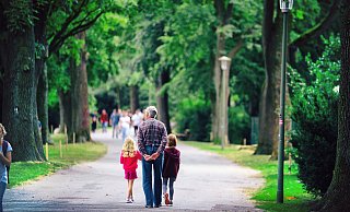 Einmalig: Die Allee an der Promenade ist ein beliebter Spazierweg für die Bielefelder. Sie können als Baumpaten helfen, dass Eichen kranke Eschen ersetzen. - jonek-fotografie.de