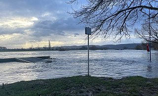 Die Weser ist in Minden mittlerweile übers Ufer getreten. - Patrick Schwemling