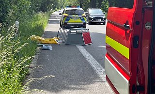 Feuerwehr und Polizei waren vor Ort, um den Pfau einzufangen. Der aber hatte andere Pläne. - Paul Brinkmann