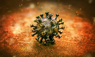 Die Omikron-Variante des Corona-Virus' treibt derzeit in vielen Ländern Europas die Infektionszahlen in die Höhe. - picture alliance