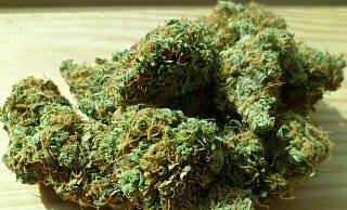 Ein junger Mann aus Löhne zeigt sich vor dem Landgericht Bielefeld geständig. - chuck herrera auf Pixabay