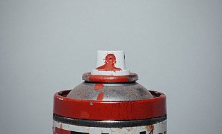 Die Täter sprayten auch an Mülltonnen und ein Holzgerüst. - (Symbolbild): Pixabay