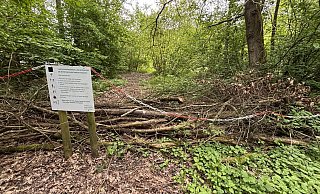 Bustedter Holz, Naturschutzgebiet Hiddenhausen, Bustedter See, Wege gesperrt - Katharina Eisele