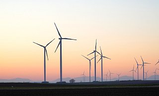 Der Klimabeirat der Stadt Gütersloh befindet sich in der Selbstfindungsphase, sagt unser Autor. - Symbolfoto/ Pixabay