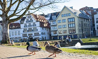 Das Frühlingswetter lädt im Paderquellgebiet zum Flanieren ein. - Niklas Tüns