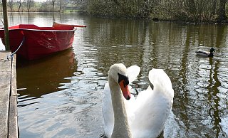 Das Hücker Moor ist ein beliebtes Ausflugsziel. Nun lockte die dortige Gastronomie Kriminelle an. - Mareike Patock