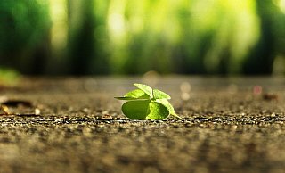 Es ist an der Zeit für mehr Optimismus. - Pixabay License