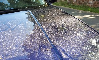 Saharasand könnte sich ab Freitag auch auf zahlreichen Autos in Ostwestfalen-Lippe wiederfinden. Der Regen, der in der Nacht zuvor erwartet wird, soll ihn aus der Atmosphäre waschen.           - Friedrich Föst