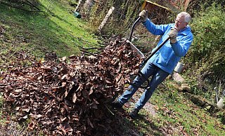 Friedhelm Diebrok hat jede Menge Bäume in seinem Garten. Ein paar Schubkarren voller Laub sind schnell zusammengeharkt, ein Haufen schnell gemacht. - Meiko Haselhorst