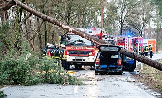 In Bielefeld auf der Lämershagener Straße stürzte ein Baum auf einen PKW. - Christian Mathiesen
